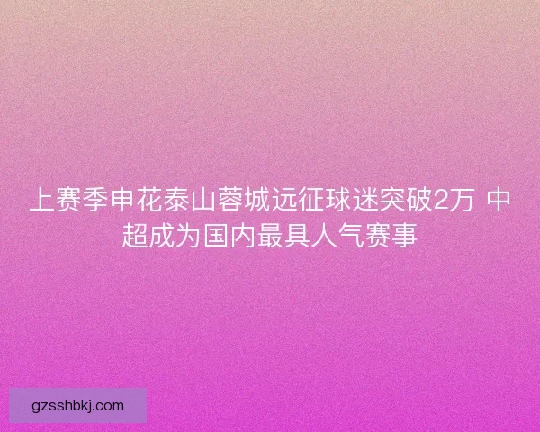 上赛季申花泰山蓉城远征球迷突破2万 中超成为国内最具人气赛事