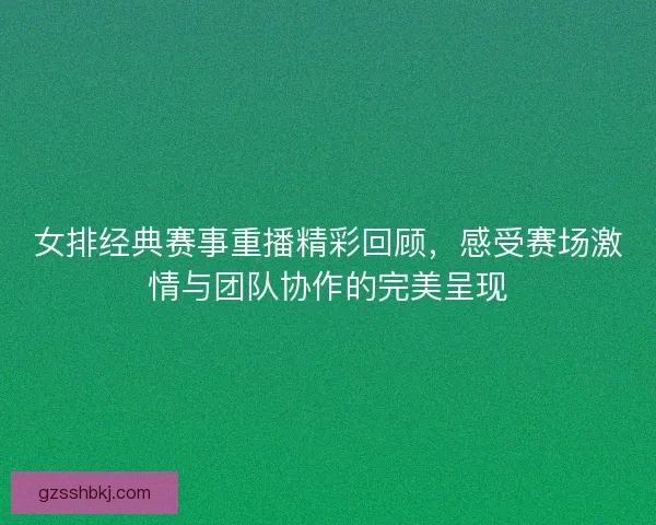 女排经典赛事重播精彩回顾，感受赛场激情与团队协作的完美呈现