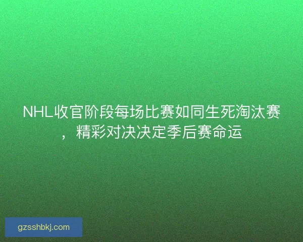 NHL收官阶段每场比赛如同生死淘汰赛，精彩对决决定季后赛命运