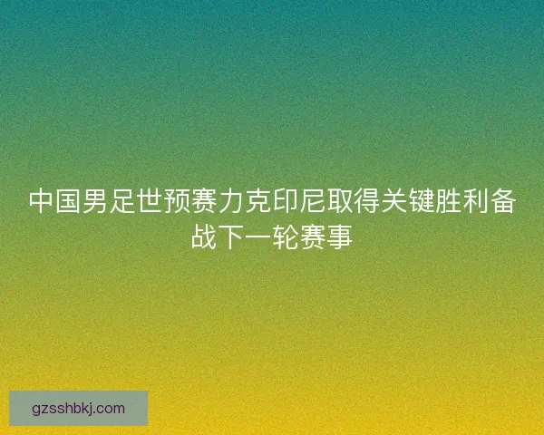 中国男足世预赛力克印尼取得关键胜利备战下一轮赛事