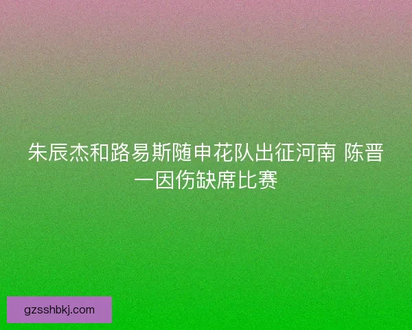 朱辰杰和路易斯随申花队出征河南 陈晋一因伤缺席比赛