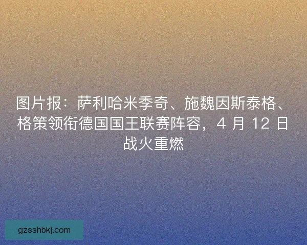 图片报：萨利哈米季奇、施魏因斯泰格、格策领衔德国国王联赛阵容，4 月 12 日战火重燃
