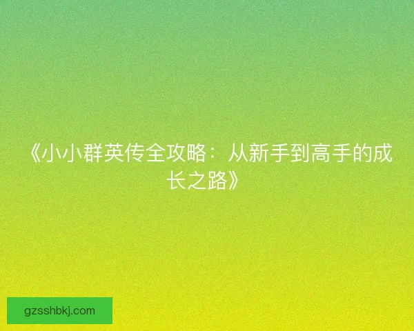《小小群英传全攻略：从新手到高手的成长之路》