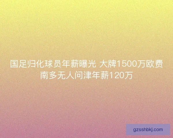 国足归化球员年薪曝光 大牌1500万欧费南多无人问津年薪120万